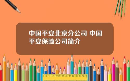 中国平安北京分公司 中国平安保险公司简介