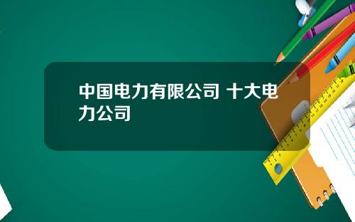 中国电力有限公司 十大电力公司