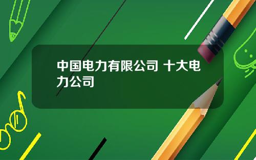 中国电力有限公司 十大电力公司