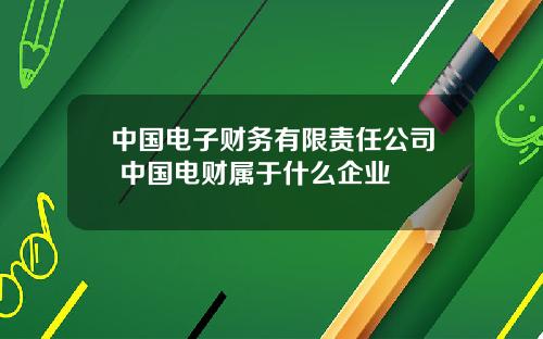 中国电子财务有限责任公司 中国电财属于什么企业