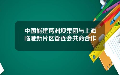 中国能建葛洲坝集团与上海临港新片区管委会共商合作