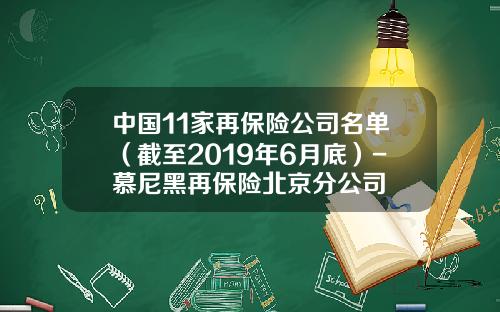 中国11家再保险公司名单（截至2019年6月底）-慕尼黑再保险北京分公司