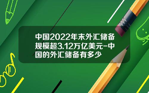 中国2022年末外汇储备规模超3.12万亿美元-中国的外汇储备有多少
