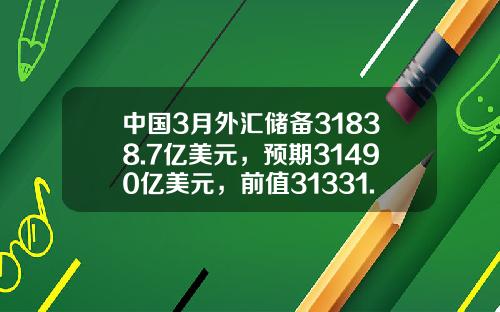 中国3月外汇储备31838.7亿美元，预期31490亿美元，前值31331.5亿美元-中国外汇储备人均匀多少