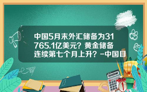 中国5月末外汇储备为31765.1亿美元？黄金储备连续第七个月上升？-中国目前还有多少美元储备