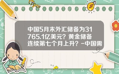 中国5月末外汇储备为31765.1亿美元？黄金储备连续第七个月上升？-中国需要多少外汇储备