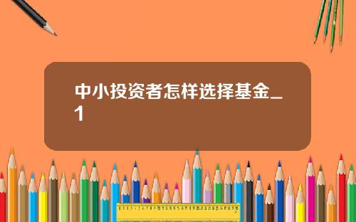 中小投资者怎样选择基金_1