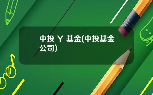 中投 Y 基金(中投基金公司)