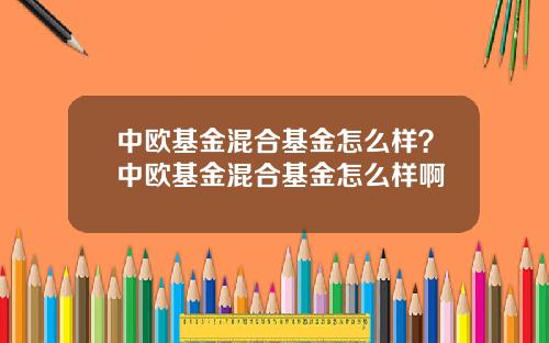 中欧基金混合基金怎么样？中欧基金混合基金怎么样啊