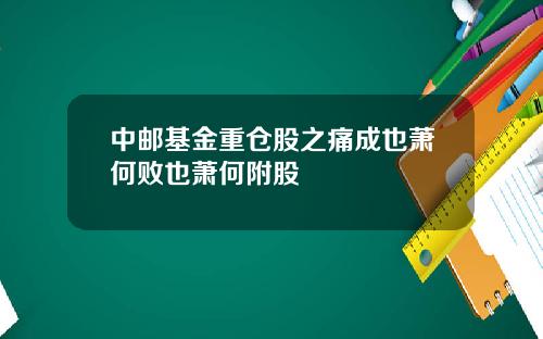 中邮基金重仓股之痛成也萧何败也萧何附股