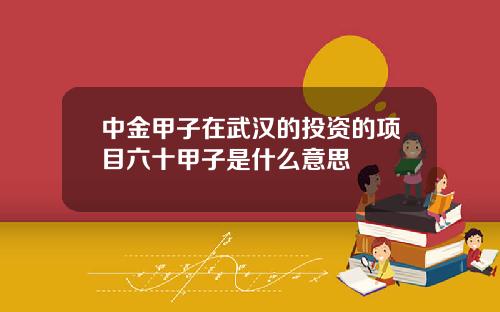 中金甲子在武汉的投资的项目六十甲子是什么意思