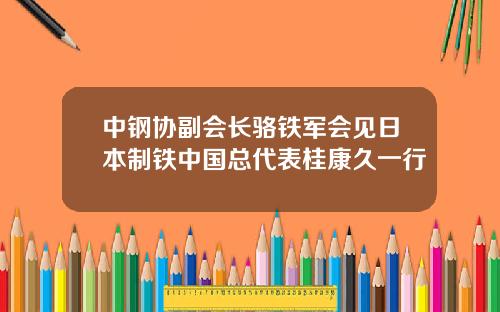 中钢协副会长骆铁军会见日本制铁中国总代表桂康久一行