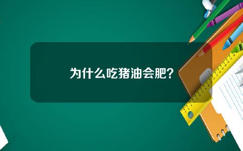 为什么吃猪油会肥？