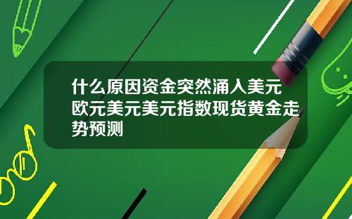 什么原因资金突然涌入美元欧元美元美元指数现货黄金走势预测