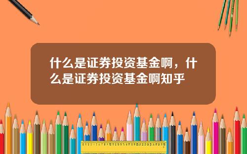 什么是证券投资基金啊，什么是证券投资基金啊知乎