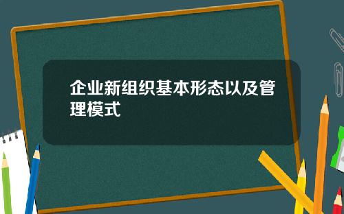 企业新组织基本形态以及管理模式