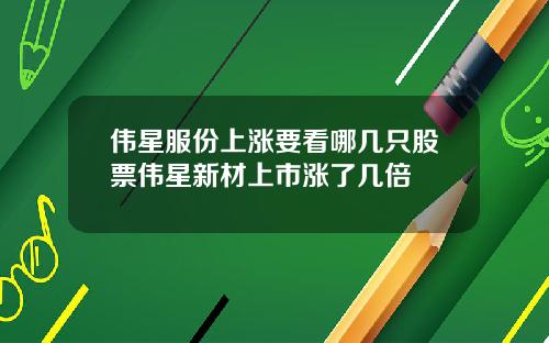 伟星服份上涨要看哪几只股票伟星新材上市涨了几倍