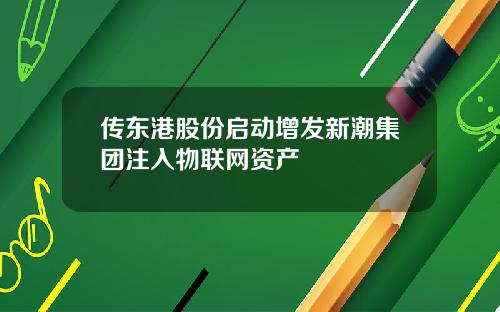 传东港股份启动增发新潮集团注入物联网资产