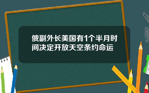 俄副外长美国有1个半月时间决定开放天空条约命运