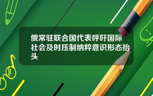 俄常驻联合国代表呼吁国际社会及时压制纳粹意识形态抬头