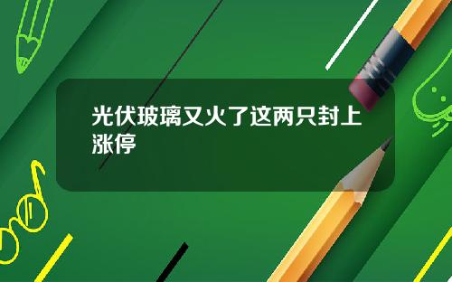 光伏玻璃又火了这两只封上涨停