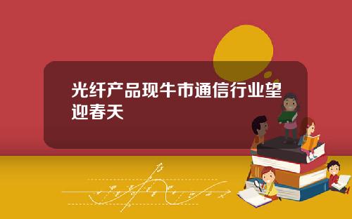 光纤产品现牛市通信行业望迎春天