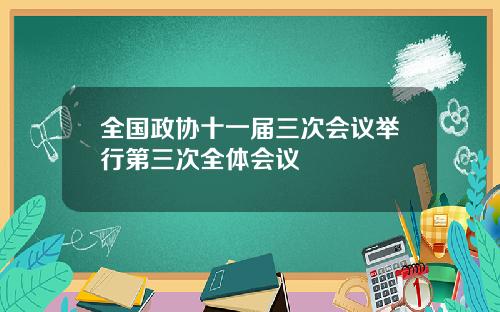 全国政协十一届三次会议举行第三次全体会议