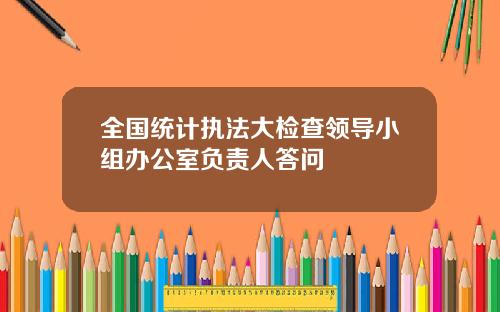 全国统计执法大检查领导小组办公室负责人答问
