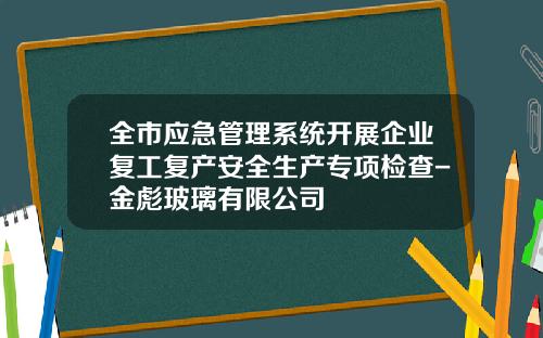 全市应急管理系统开展企业复工复产安全生产专项检查-金彪玻璃有限公司