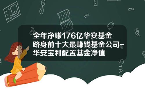 全年净赚176亿华安基金跻身前十大最赚钱基金公司-华安宝利配置基金净值