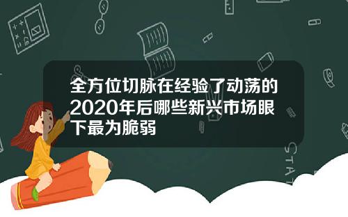 全方位切脉在经验了动荡的2020年后哪些新兴市场眼下最为脆弱