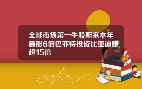 全球市场第一牛股蔚来本年暴涨6倍巴菲特投资比亚迪赚超15倍