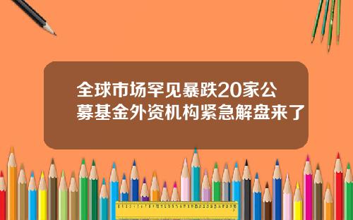 全球市场罕见暴跌20家公募基金外资机构紧急解盘来了