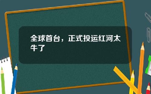 全球首台，正式投运红河太牛了