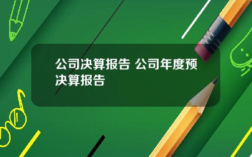公司决算报告 公司年度预决算报告