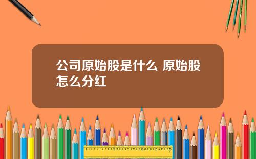 公司原始股是什么 原始股怎么分红