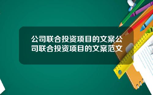 公司联合投资项目的文案公司联合投资项目的文案范文