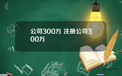 公司300万 注册公司300万