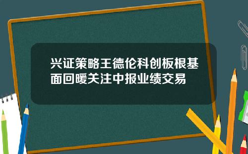 兴证策略王德伦科创板根基面回暖关注中报业绩交易