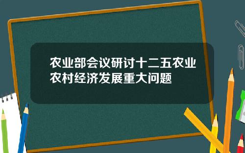 农业部会议研讨十二五农业农村经济发展重大问题