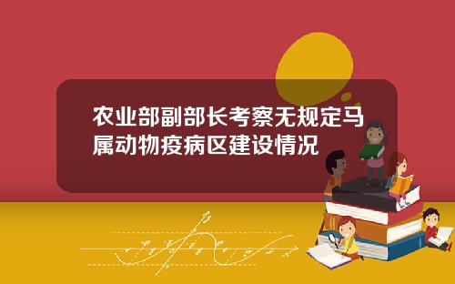 农业部副部长考察无规定马属动物疫病区建设情况