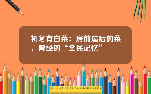 初冬有白菜：房前屋后的菜，曾经的“全民记忆”