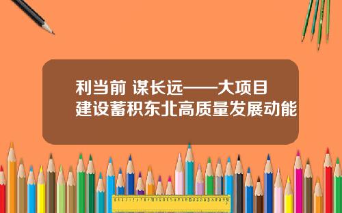 利当前 谋长远——大项目建设蓄积东北高质量发展动能