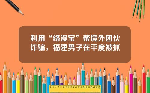 利用“络漫宝”帮境外团伙诈骗，福建男子在平度被抓