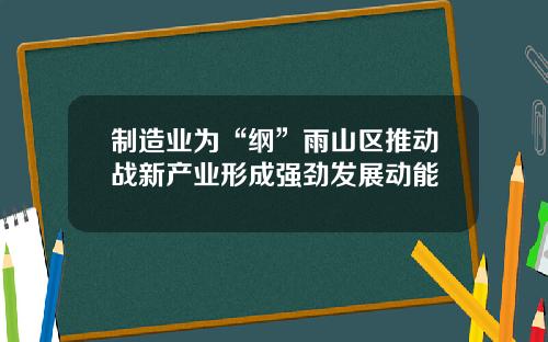 制造业为“纲”雨山区推动战新产业形成强劲发展动能