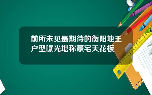前所未见最期待的衡阳地王户型曝光堪称豪宅天花板
