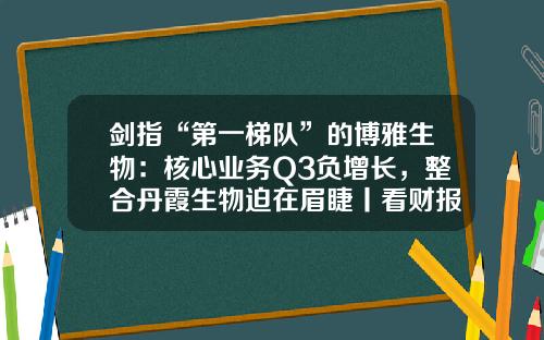 剑指“第一梯队”的博雅生物：核心业务Q3负增长，整合丹霞生物迫在眉睫丨看财报