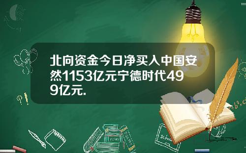 北向资金今日净买入中国安然1153亿元宁德时代499亿元.