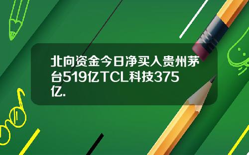 北向资金今日净买入贵州茅台519亿TCL科技375亿.