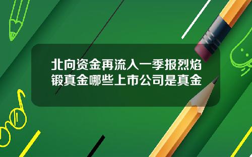 北向资金再流入一季报烈焰锻真金哪些上市公司是真金